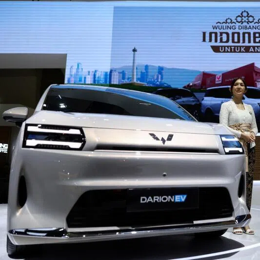 Chinese brands dominate the EV market in Indonesia, with some like Wuling making its cars in the country. Its DarionEV (above) was among those featured at the   Indonesia International Motor Show 2026 in Jakarta. 