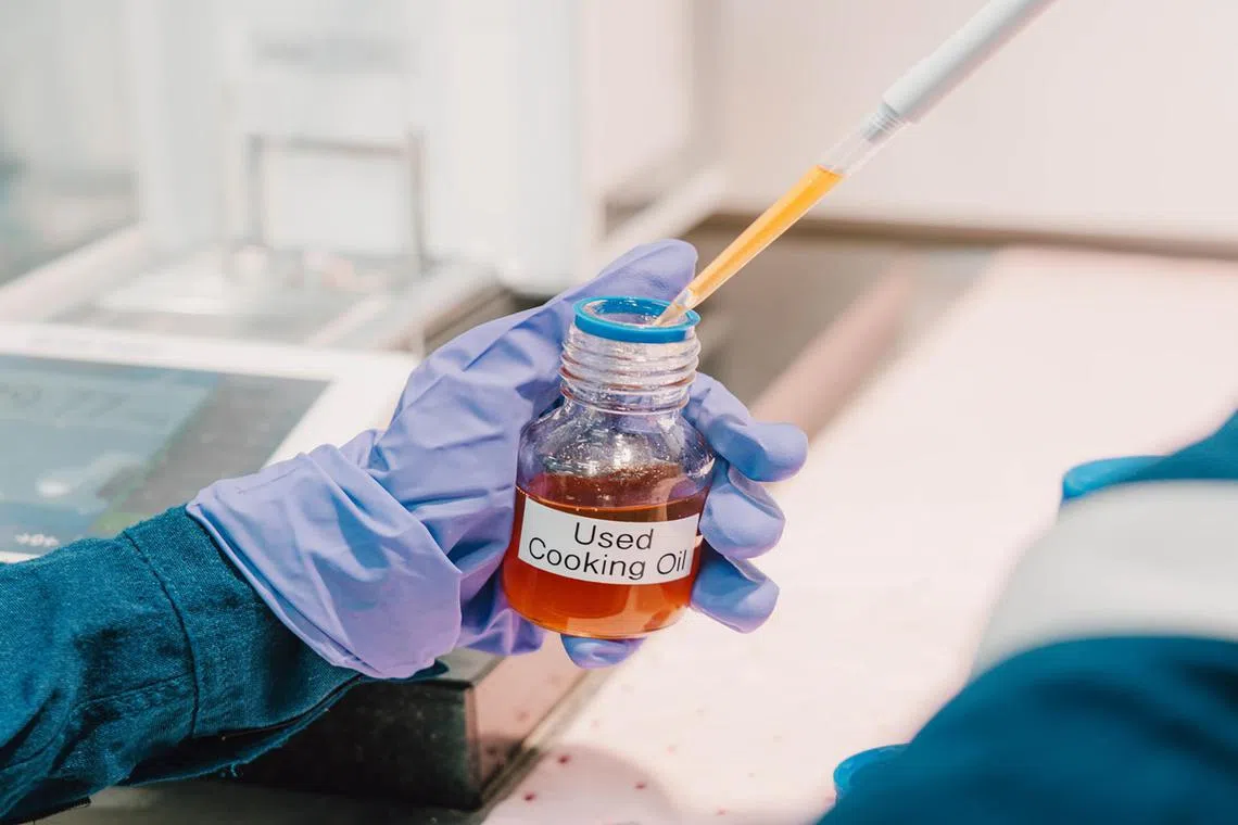 vcdiesel19 - Used cooking oil is being used to power some heavy vehicles and specialised equipment at Changi Airport. 


Credit: Changi Airport Group