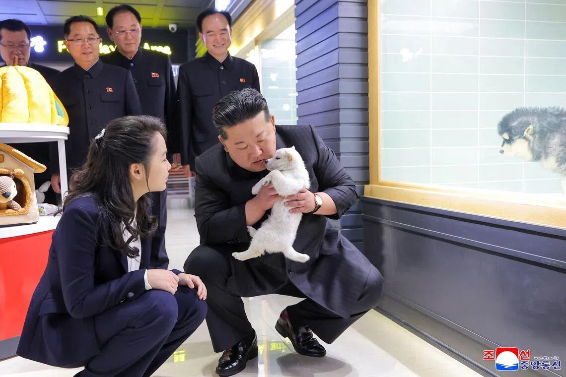 North Korea’s Kim pets puppies, kittens at Pyongyang pet shop