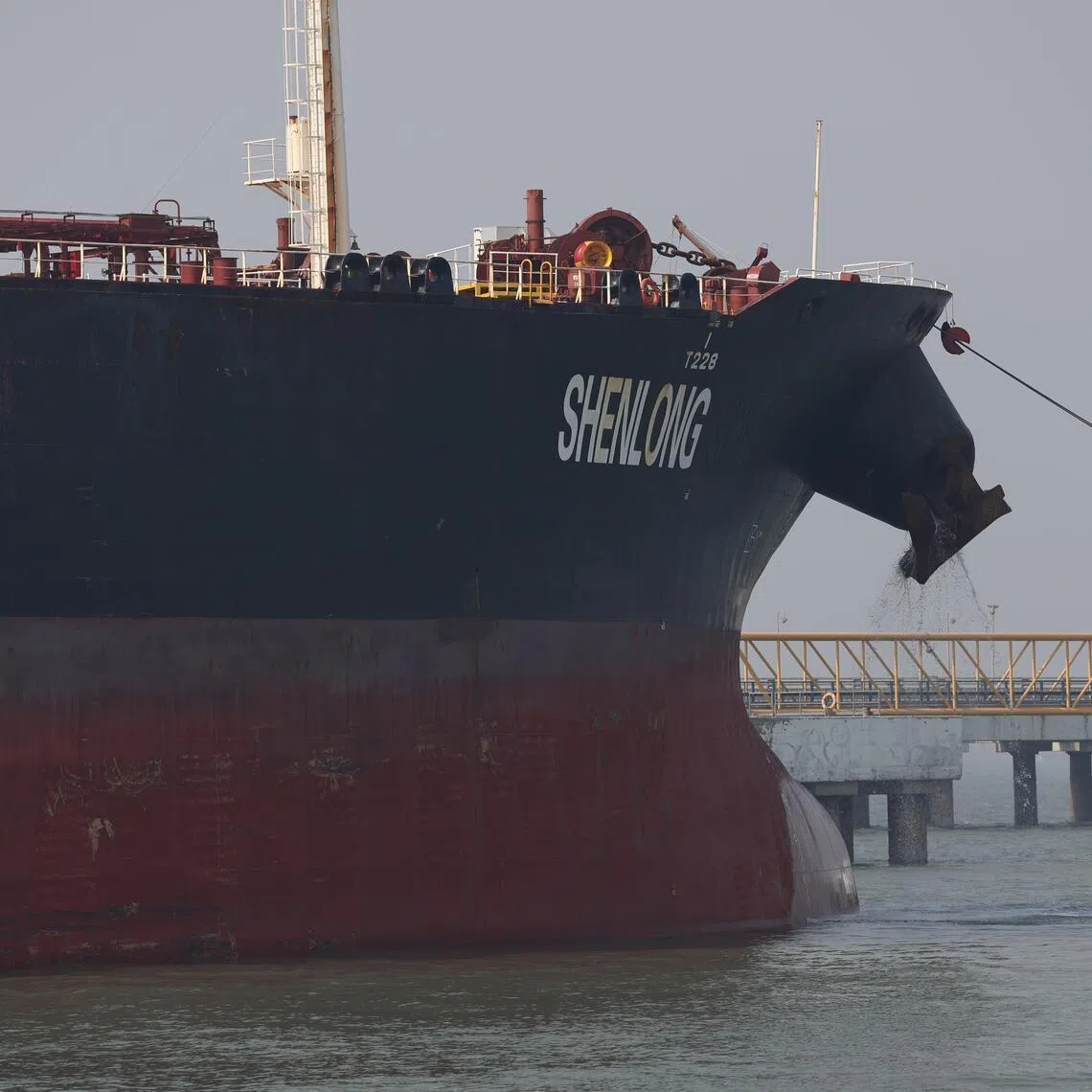 The Liberia‑flagged tanker Shenlong, carrying crude oil from Saudi Arabia to India via the Strait of Hormuz, arriving at Mumbai Port on March 12.