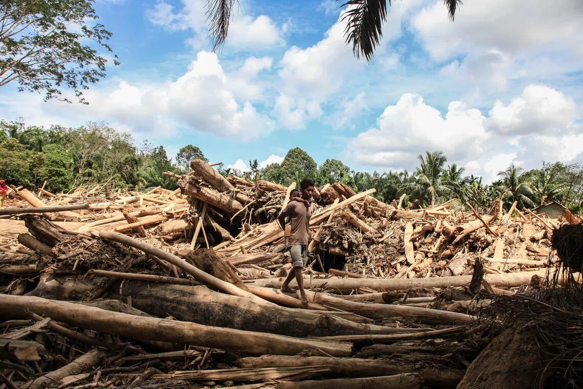 Deforestation had affected the orangutans even before the floods.