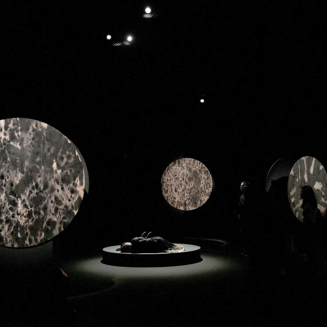 Joanna Dong asks questions of existence amid Dawn Ng’s painting-sculptures.
