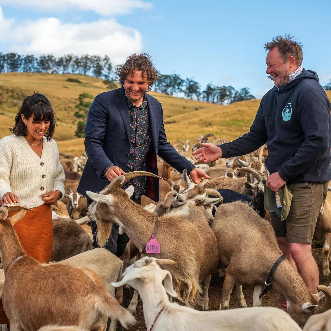 Iain Field (right) is one half of the married couple running Tongola Cheese, which produces handmade cheese from the milk of goats they rear on Leap Farm.
