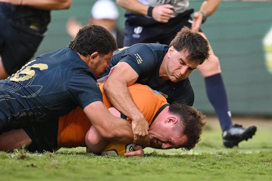 Angus Bell scoring Australia's match-winning try in the Rugby Championship match against Argentina at Queensland Country Bank Stadium in Townsville on Sept 6, 2025.