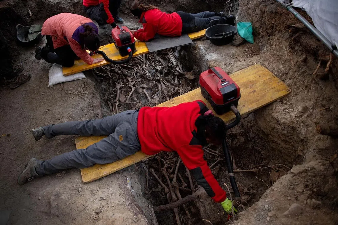 Archaeologists cleaning remains during the exhumation of victims of repression executed between 1936 and 1939 during the Spanish Civil War and the Franco regime in one of several mass graves discovered in Barranco de Viznar, 10 km north of Granada, southern Spain, on Nov 24, 2025. 
