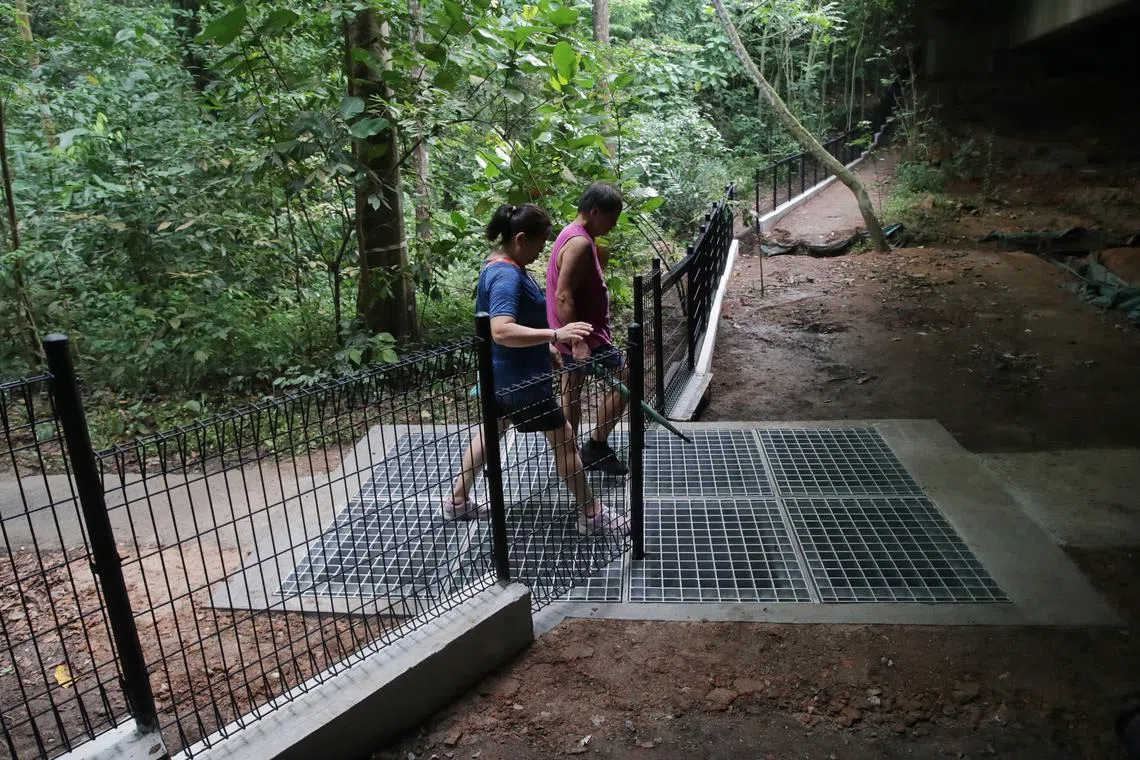 A 1m-high fence and cattle grids have been installed at the Bangkit Underpass site in Zhenghua Nature Park.