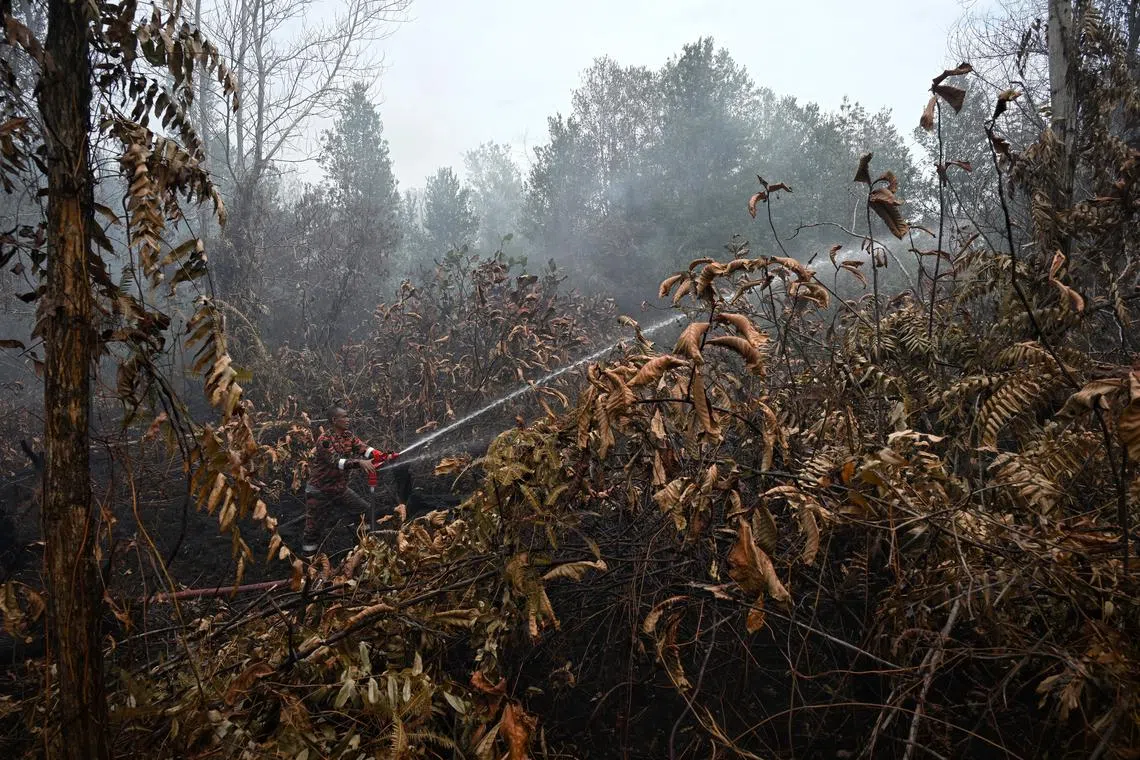 Firefighters battling a spreading peat fire in a residential district in Pengerang, Johor, Malaysia on Jan 28, 2026. Pengerang is about 30km across the strait east of Singapore, and the authorities have called for helicopter water drops to contain the blaze that has forced over 100 residents to evacuate. 