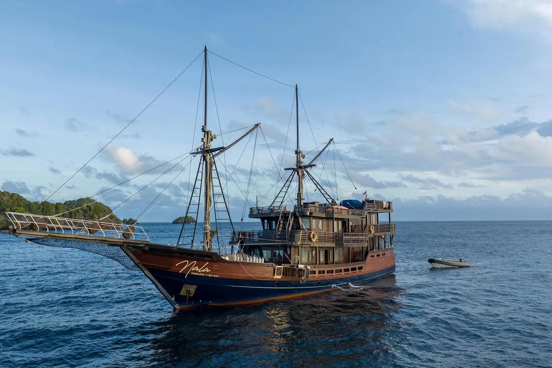 The Nala, with a 10-guest capacity, offers intimate cruising and accessibility to wild places.