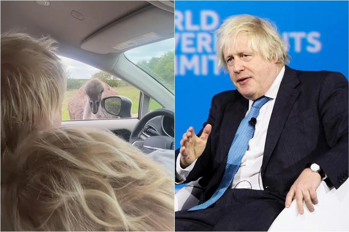 The incident was shared on April 6 in a video posted to Instagram by Mr Johnson’s wife, Ms Carrie Johnson.