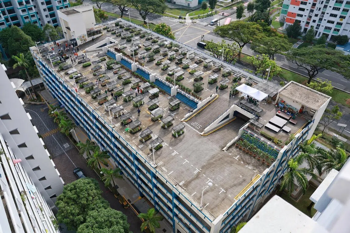 The first allotment garden completed under the HDB Green Towns Programme (GTP) on the rooftop of multi-storey carpark at 673 Jurong West Street 65 on June 25, 2023. ST PHOTO: KEVIN LIM gldesmond25
