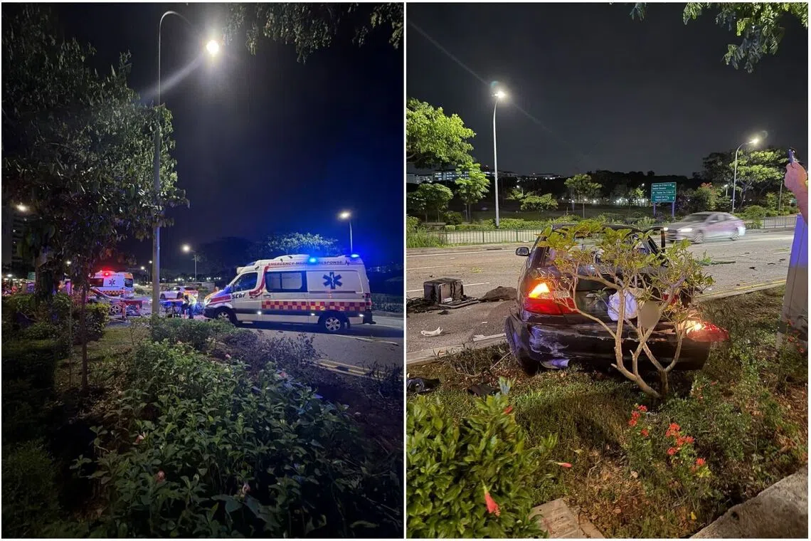 Debris from the vehicles, uprooted vegetation and what appears to be broken pieces of road divders, were strewn across the area.