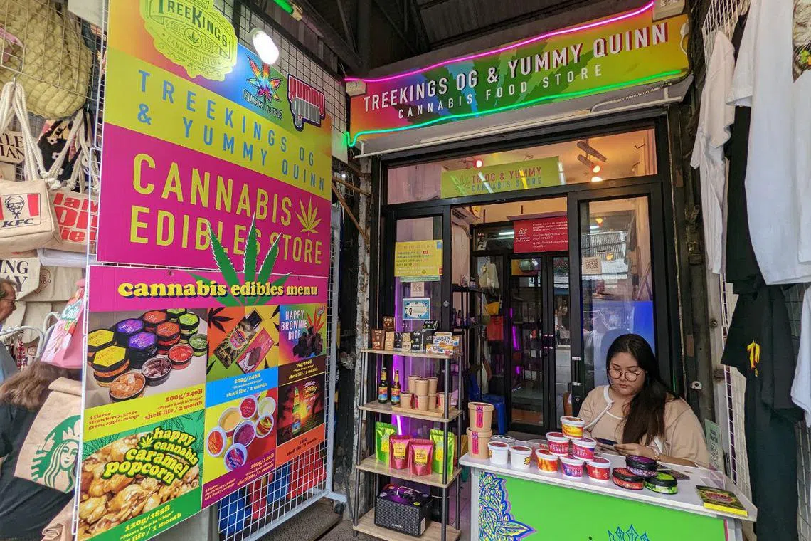 Cannabis is a selling point for many retailers, and those specialising in cannabis products for consumption or smoking play up the products using large marijuana leaf symbols and loud signs in their storefront signs. This is a shop at Chatuchak Market in Thailand.