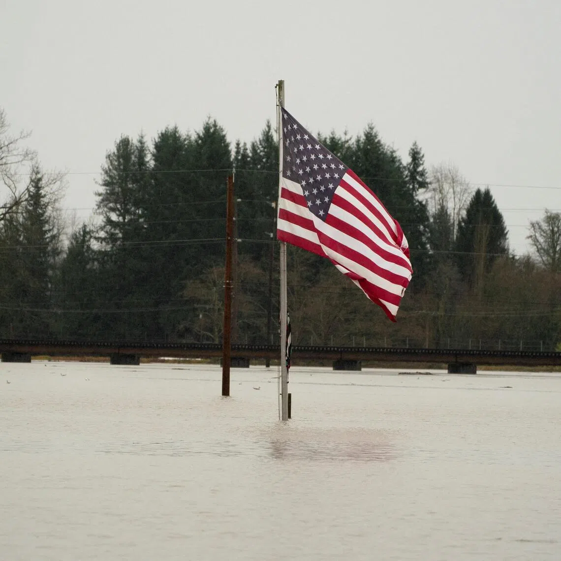 Homeland Security Secretary Kristi Noem said she’s asking US Citizenship and Immigration Services to pause the lottery, officially known as the Diversity Immigrant Visa Programme.    