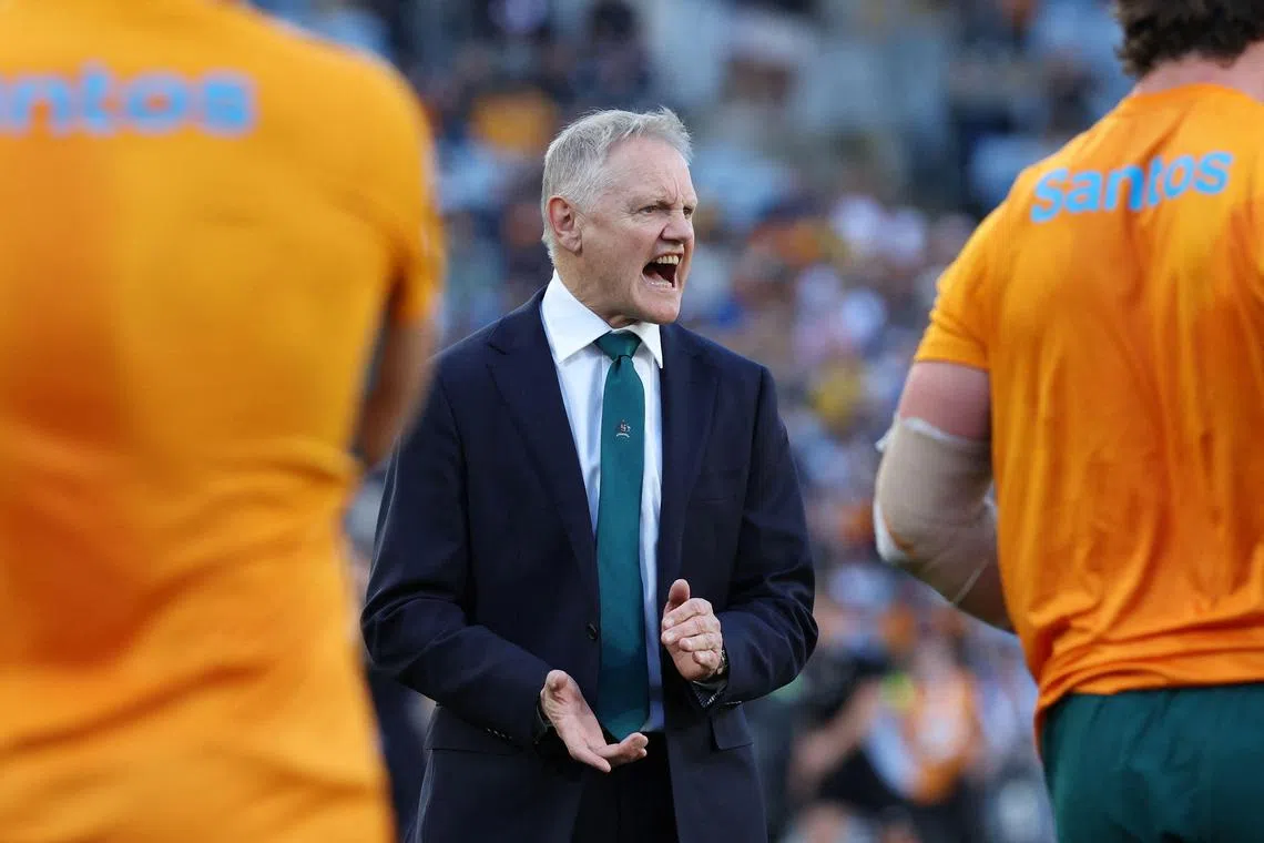 Australia rugby coach Joe Schmidt (above) has "brought a different aspect to the way we want to play the game", says Wallabies centre Samu Kerevi.