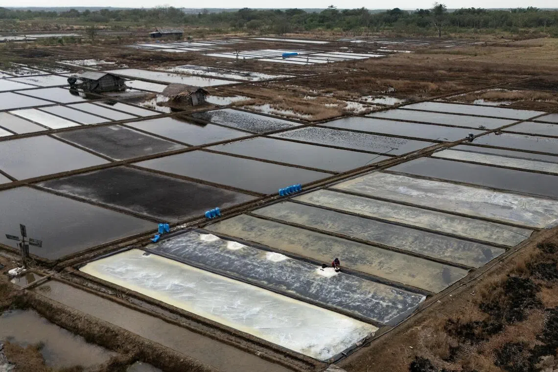 A drone view shows a farmer collecting crystallised salt from a pond floor during harvest in Pengarengan village, Cirebon, West Java province, Indonesia, July 31, 2026. REUTERS/Willy Kurniawan