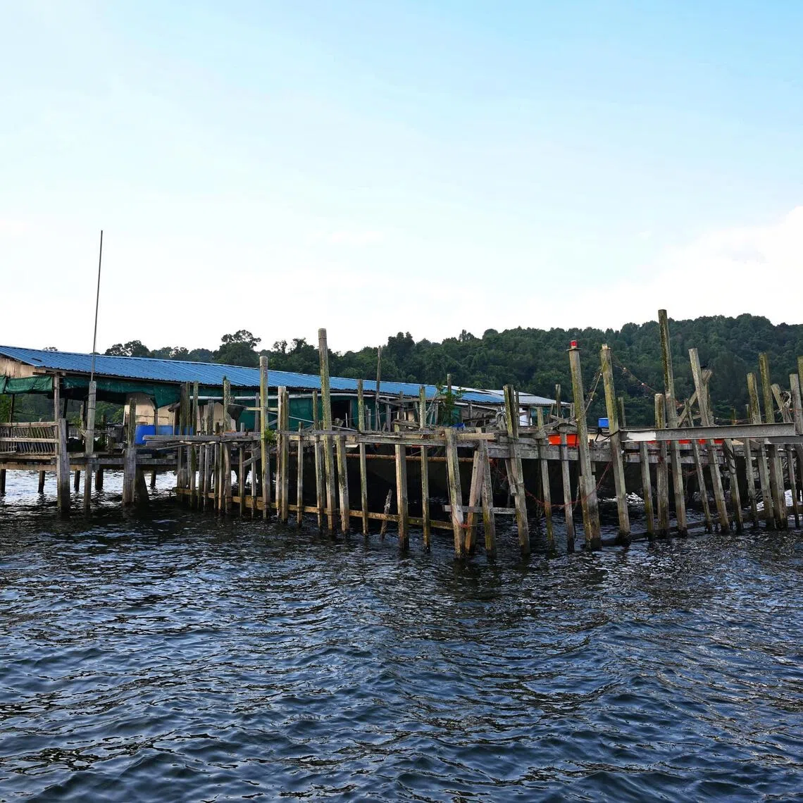 Timothy Ng’s kelong near Pulau Ubin on June 20, 2024