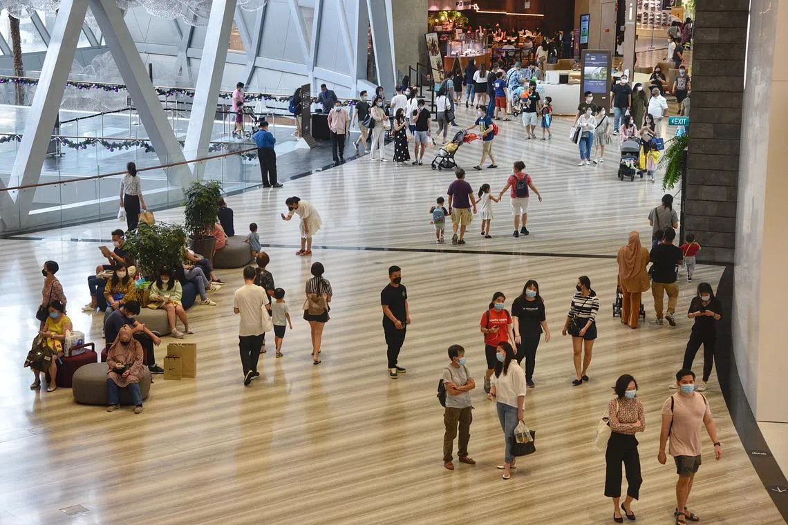 Nine of 14 categories experienced year-on-year declines in December 2024, compared with seven the previous month.