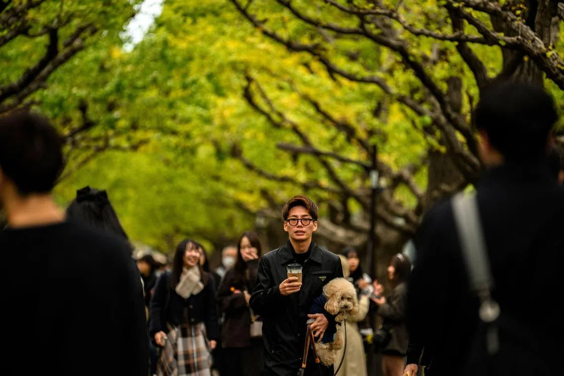 The arrival of vibrant autumnal foliage in most major cities is expected to be between two and nine days late.