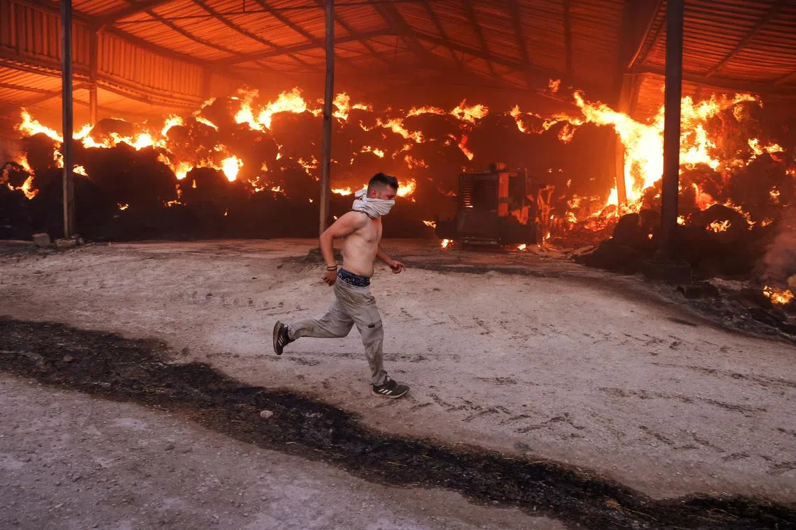 A young man running next to a burning farm, as a wildfire burns in Sesklo, in central Greece on July 26, 2023.      