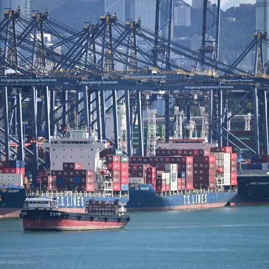 Cargo ships at the Kwai Chung container terminal in Hong Kong.