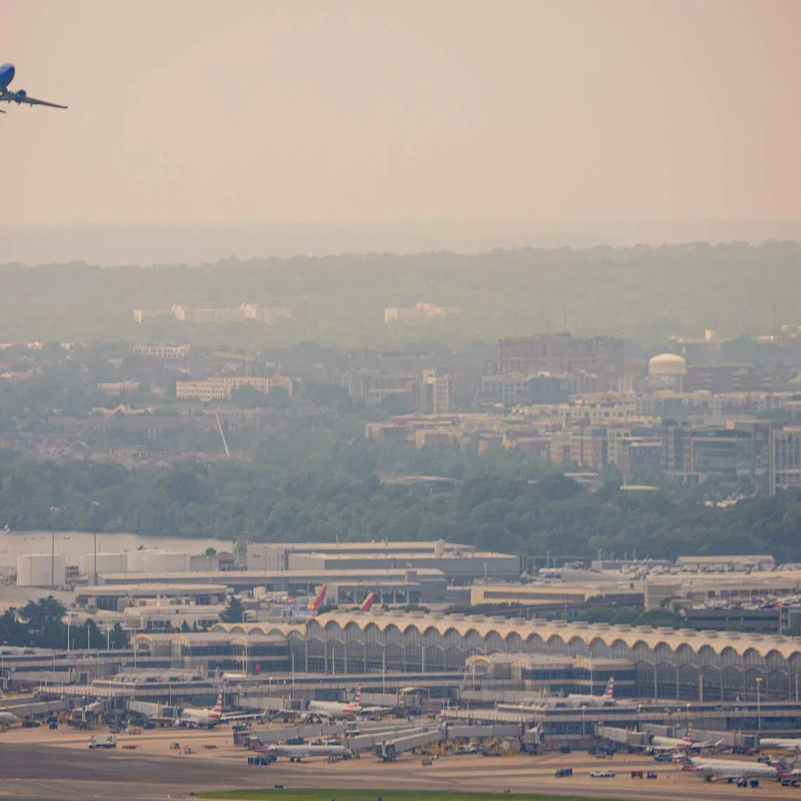 The plane made an emergency landing at Ronald Reagan National Airport (pictured).