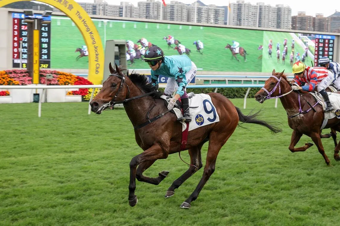 Turquoise Velocity winning his debut in a Class 4 Handicap (1,000m) at Sha Tin on Dec 20, 2025. After scoring three more times, the Francis Lui-trained galloper will look to improve his haul under regular partner Keith Yeung in the Li Handicap (1,200m) at Sha Tin on July 4.
PHOTO: HKJC
