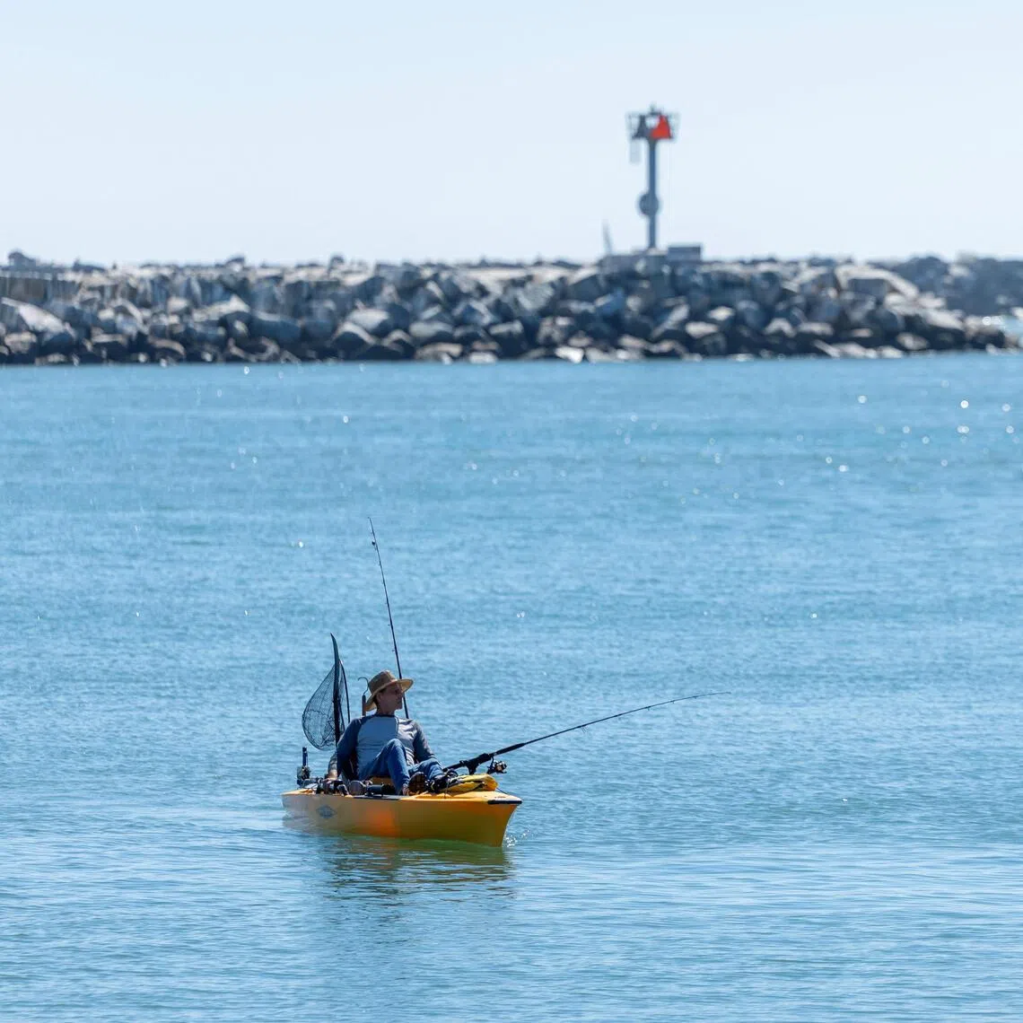 The unusually strong El Nino has brought in larger catches for fishing businesses.