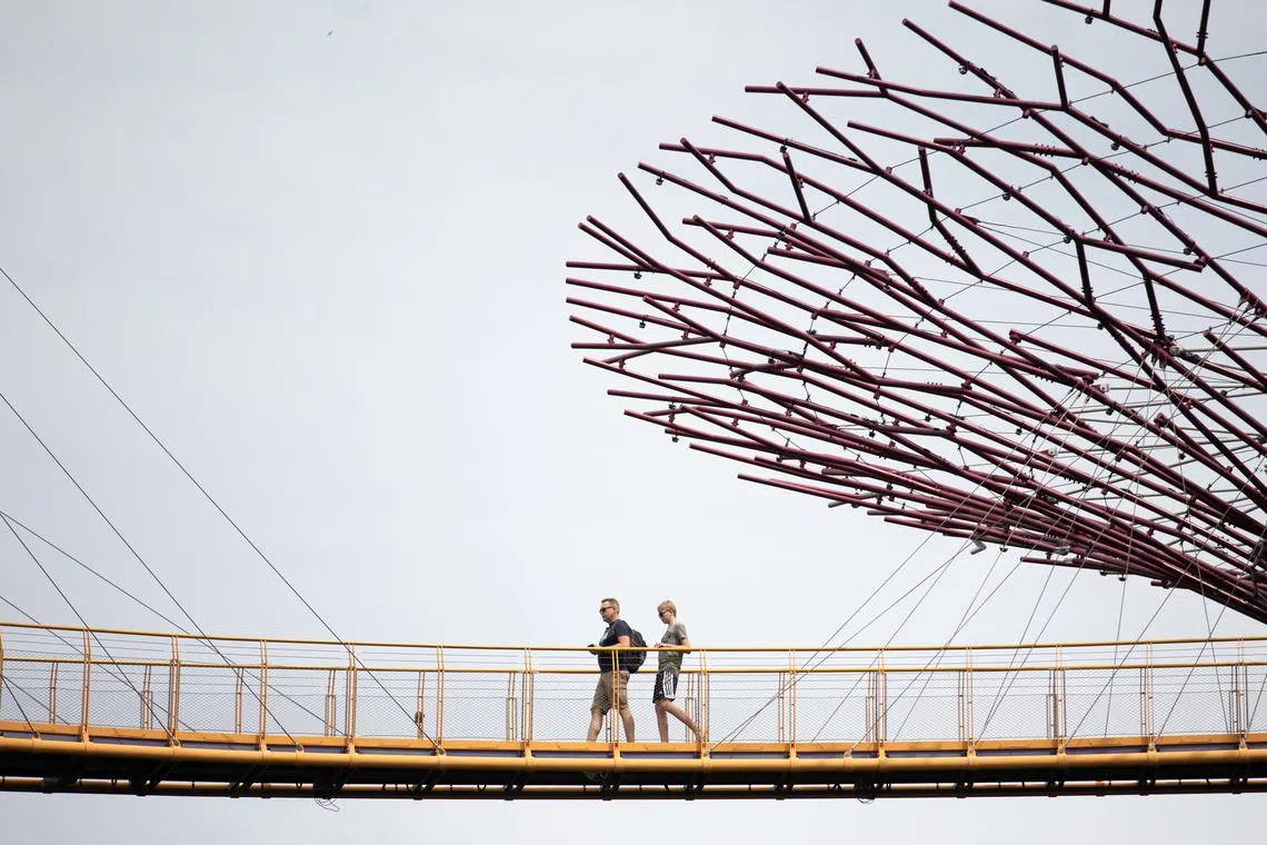 Supertrees in gardens by the bay