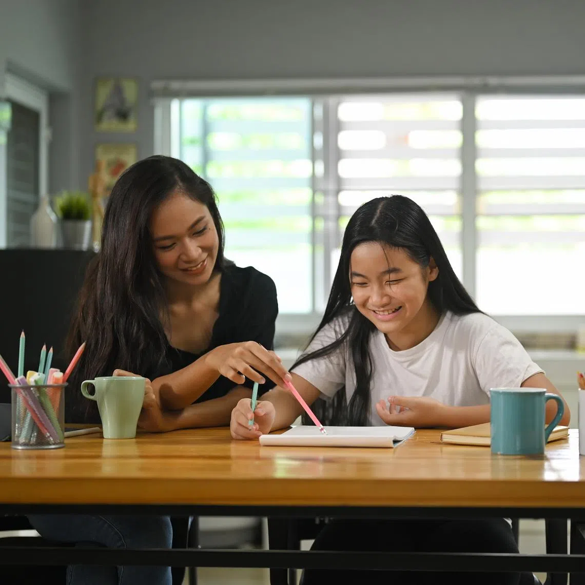 Mums and dads should make the most of parent-teacher meetings to better support their child's learning.