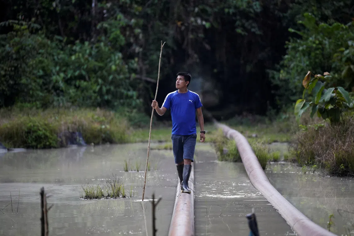 Indigenous Urarina leader Wilmer Macusi walks on a pipeline running through a pool of stagnant water that links the Block 8 oilfield to the government-owned North Peruvian Pipeline (ONP), in Santa Rosa, in Peru's northern Amazon, July 12, 2025. REUTERS/Angela Ponce