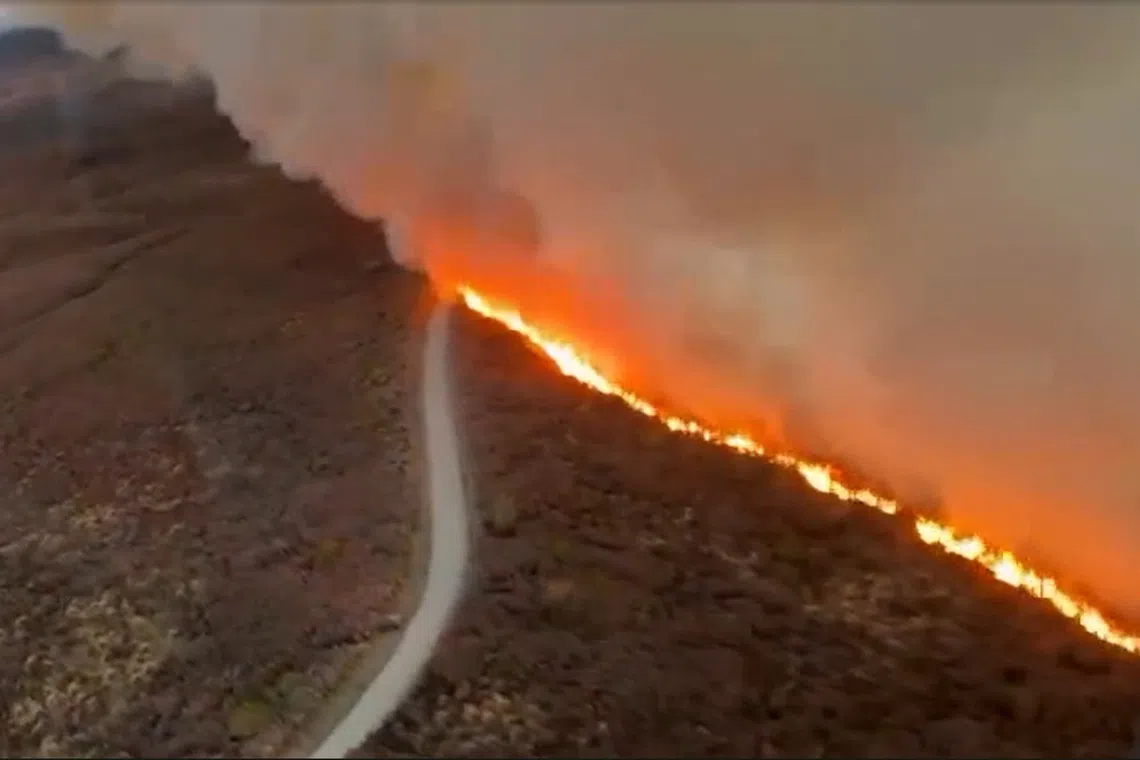 Firefighters began battling the blaze on Nov 8. But firefighting efforts were suspended overnight for safety reasons.