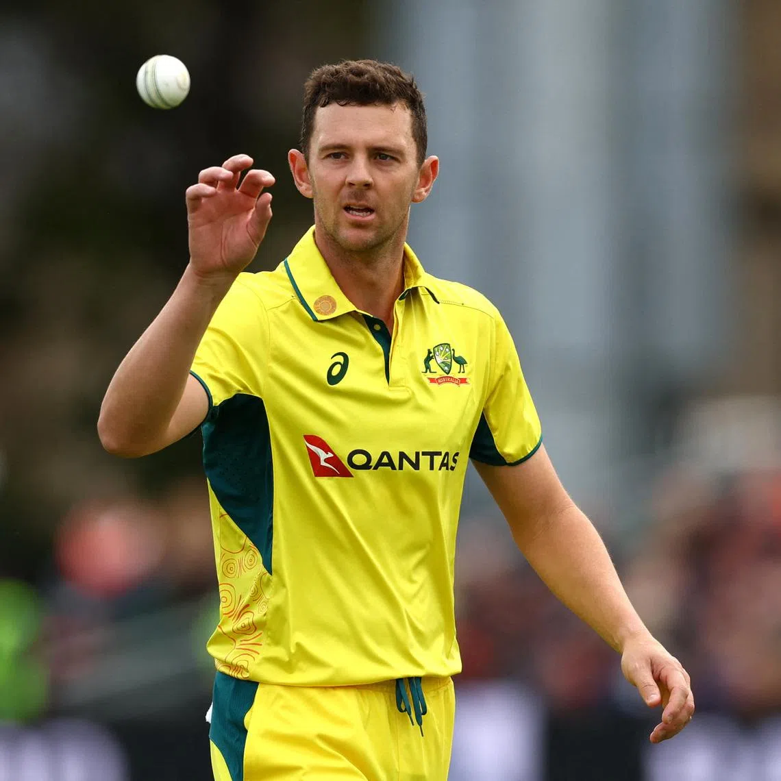 Cricket - Fifth One Day International - England v Australia - Bristol County Ground, Bristol, Britain - September 29, 2024 Australia's Josh Hazlewood. Action Images via Reuters/Matthew Childs