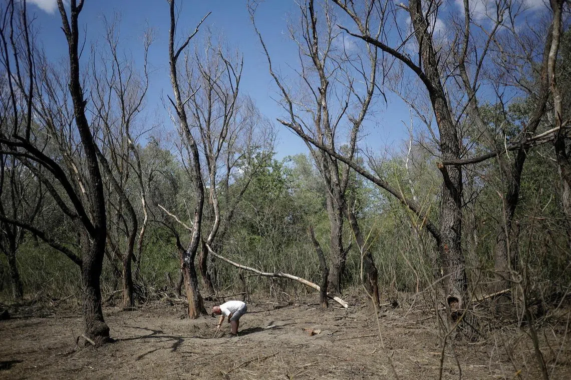FILE PHOTO: A man investigates a crater visible at the presumed crash site of a Russian army drone, close to charred tree trunks and a blast area, near Plauru, Tulcea county, Romania, September 7, 2023. Inquam Photos/Ovidiu Micsik via REUTERS/File Photo