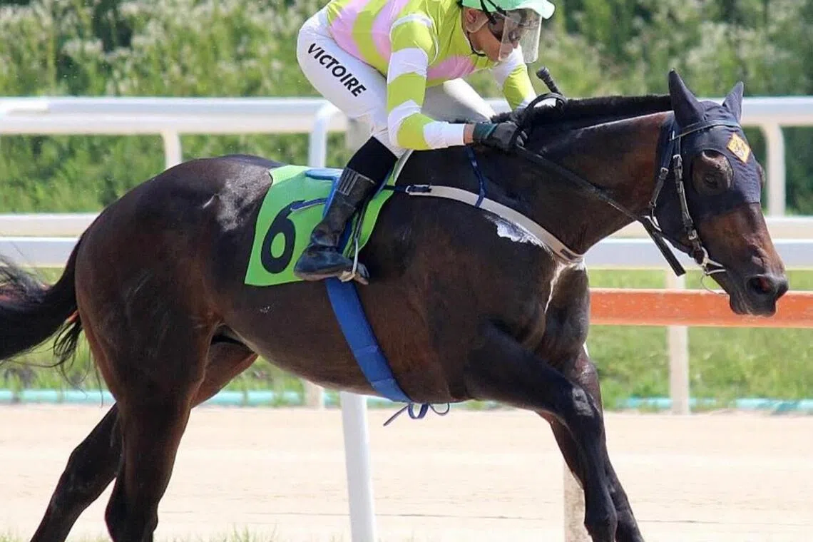 Kkumui Yeonsok - Two-year-old Kkumui Yeonsok scoring an easy debut win for the Luigi Riccardi-Johan Victoire tandem in Seoul on June 28. If the US-bred by Tale Of Silence reproduces that form, he may well double the dose in the Class Open Special Weight A (1,200m) in Seoul on Aug 16.

PHOTO: KOREA RACING AUTHORITY