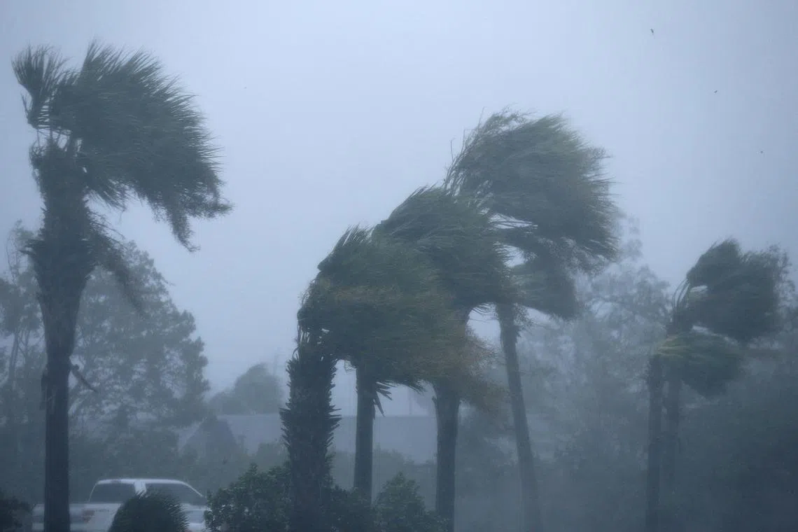 FILE PHOTO: Palm trees are seen during Hurricane Michael in Panama City Beach, Florida, U.S. October 10, 2018. REUTERS/Jonathan Bachman/File Photo