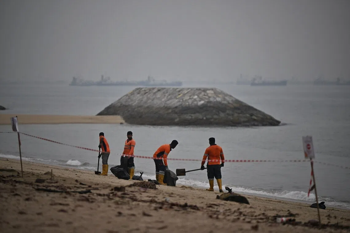 Clean-up operations of the oil patches at East Coast Park area D, on Oct 24.
