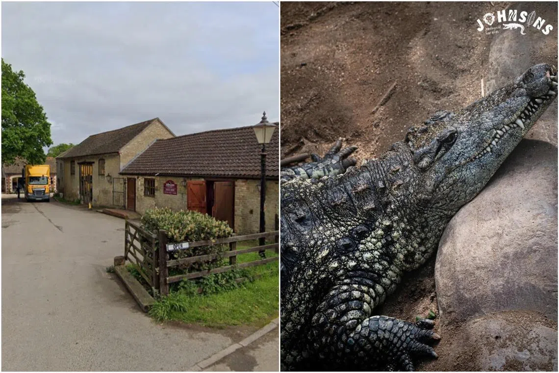 Man freed on bail after toddler found in British zoo’s crocodile pen