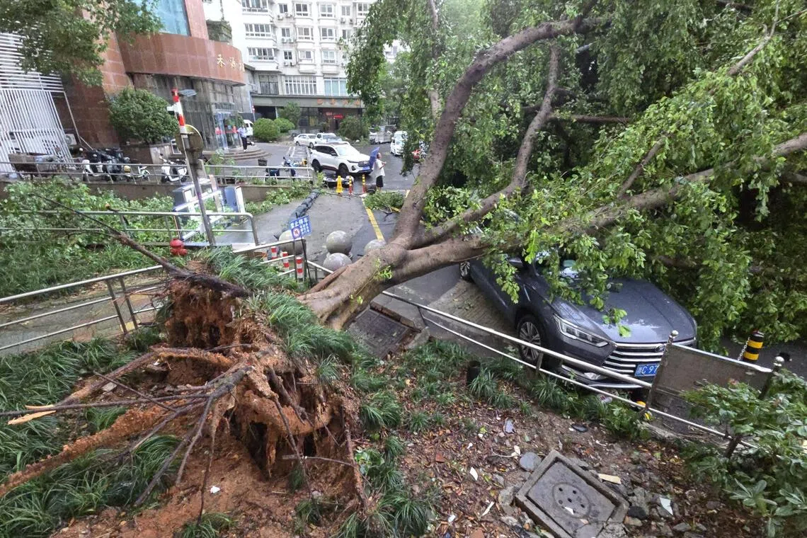 China bets on AI weather forecasting as extreme weather intensifies