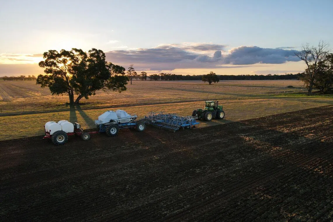 Australia's agricultural bureau is expecting around 26.7 million tonnes of wheat later in 2026, which is nine million tonnes less than last season.