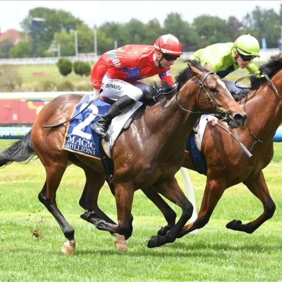 Eternal Warrior (Zac Spain) winning the Magic Millions Merson Cooper Stakes (1,000m) on debut at Caulfield. The 2YO by first season sire Extreme Warrior will be ridden by Damian Lane in the Group 1 Blue Diamond Stakes (1,200m) at Caulfield on Feb 21.
