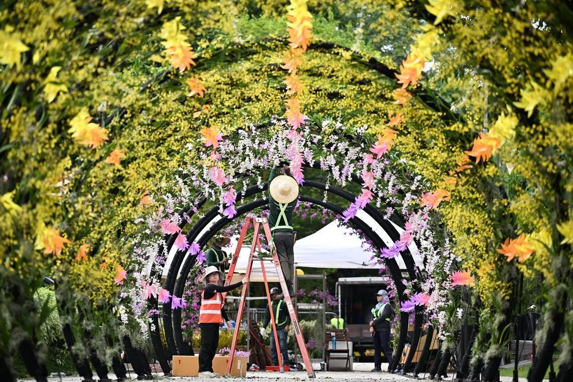Yellow Oncidiums, Dendrobiums and other vandaceous orchids are arranged in a swirling pattern in the Floral Vortex. 