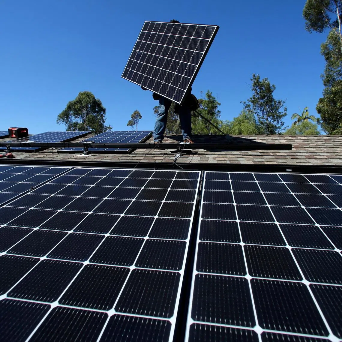 Renewables such as wind and solar energy made up close to 34 per cent of total electricity supply globally in 2025.