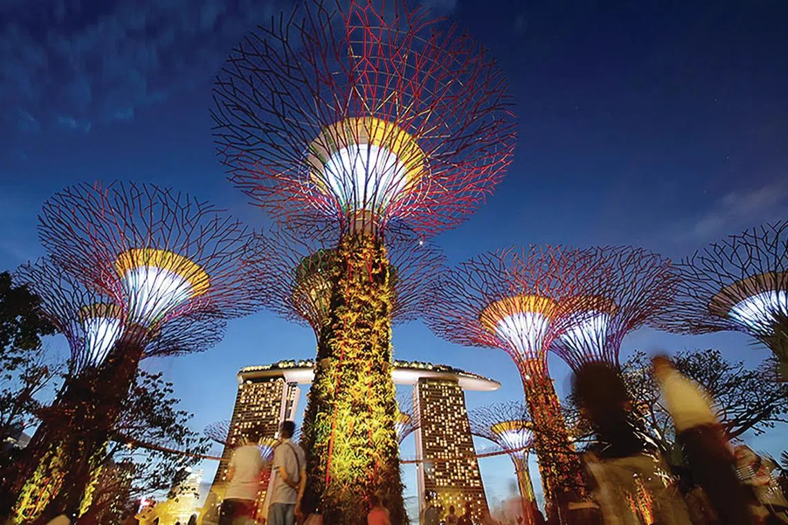 LionGrove Supertrees.