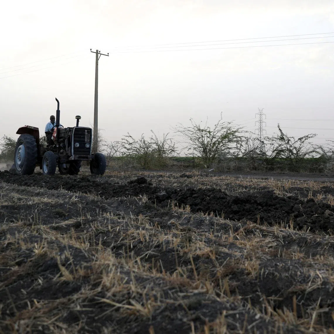 A tractor is used to plow the land at an agricultural project in South Omdurman, Sudan May, 21, 2026. REUTERS/El Tayeb Siddig