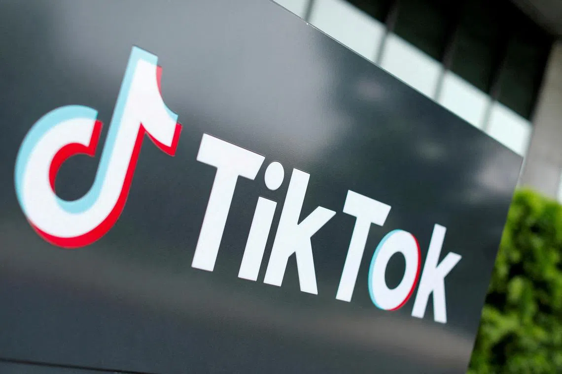 Several government officials have taken aim at companies like TikTok for what they say are monopolistic practices threatening local and small businesses.