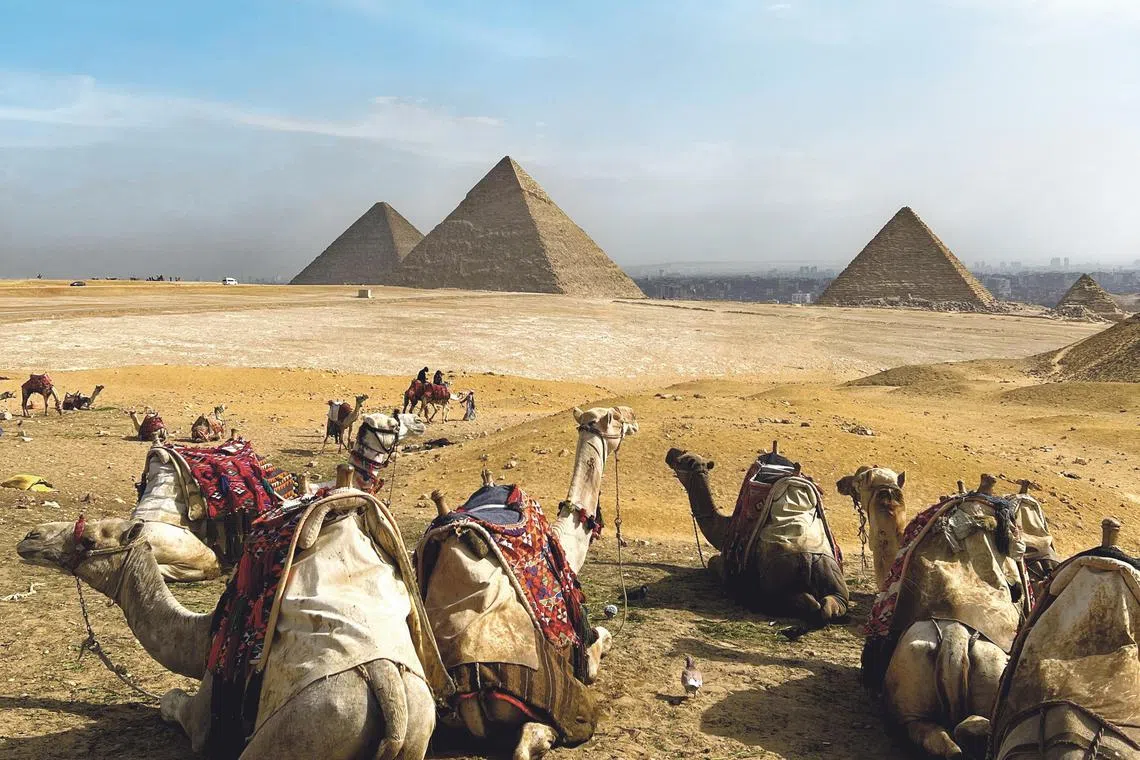Egypt is a world of superlatives, with pyramids that are engineering marvels, temples built on a vast scale and the Nile, the world’s longest river. 