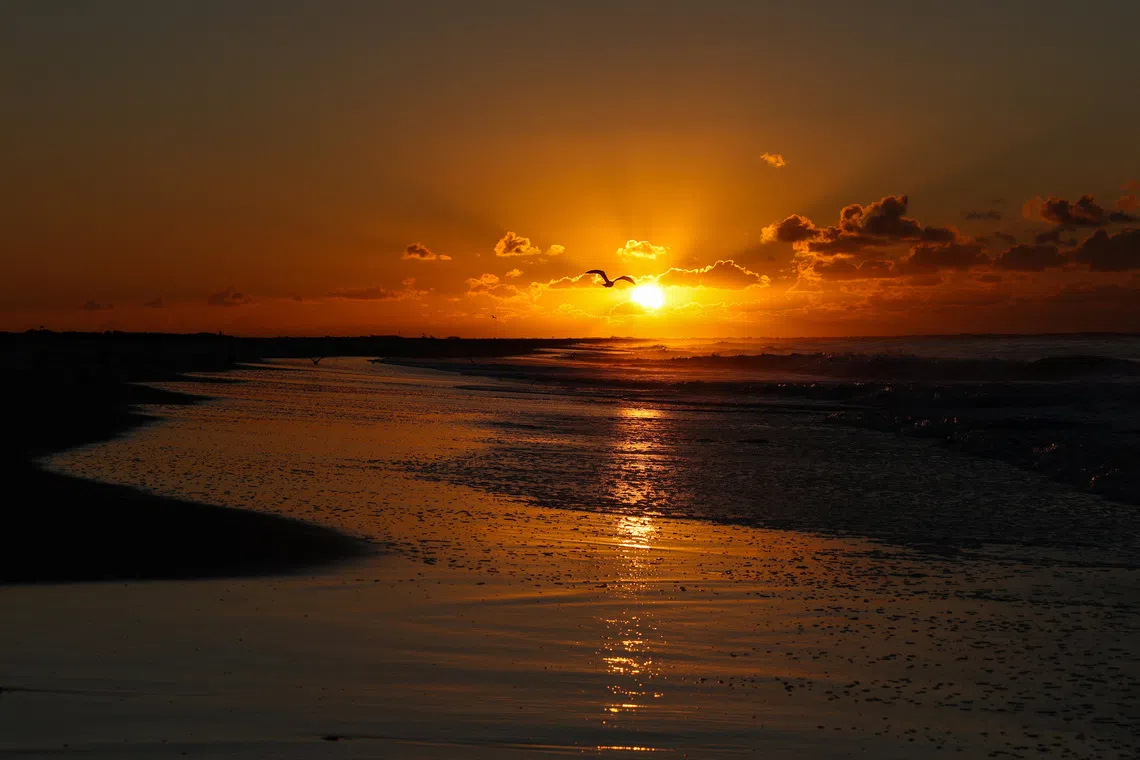 The sun rises over the Atlantic Ocean as a bird flies in Lido Beach, New York, U.S., October 2, 2025. REUTERS/Shannon Stapleton