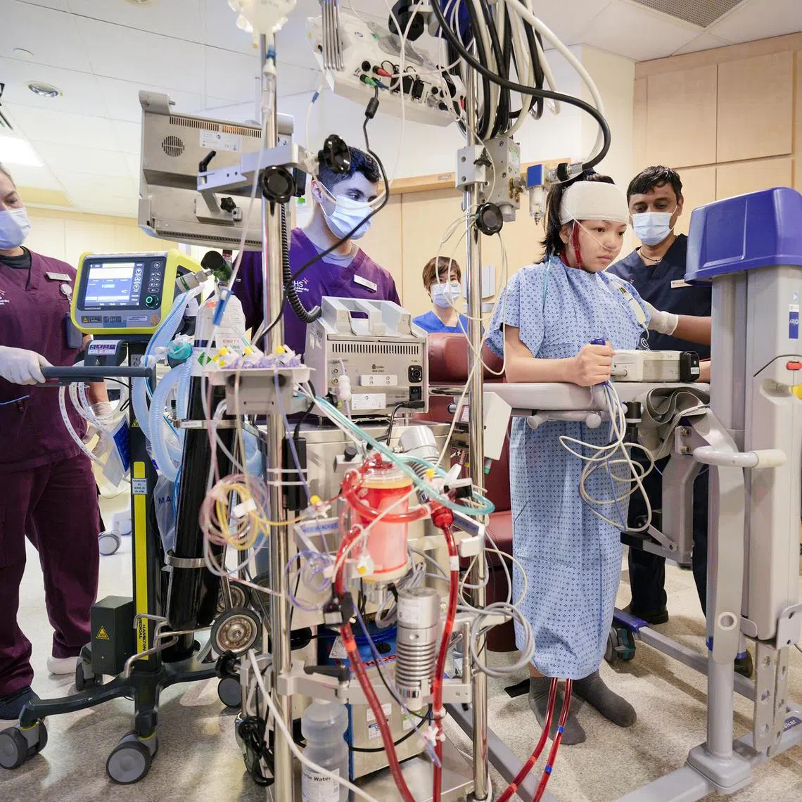 The patient in intensive care is undergoing Awake Ecmo, where she is kept awake and breathing on her own, without the need for total sedation or invasive ventilation. This gives her a chance to talk and interact with the health care team, reduce the chances of muscle shrinkage and the opportunity for early rehabilitation.


Copyright: NUHS