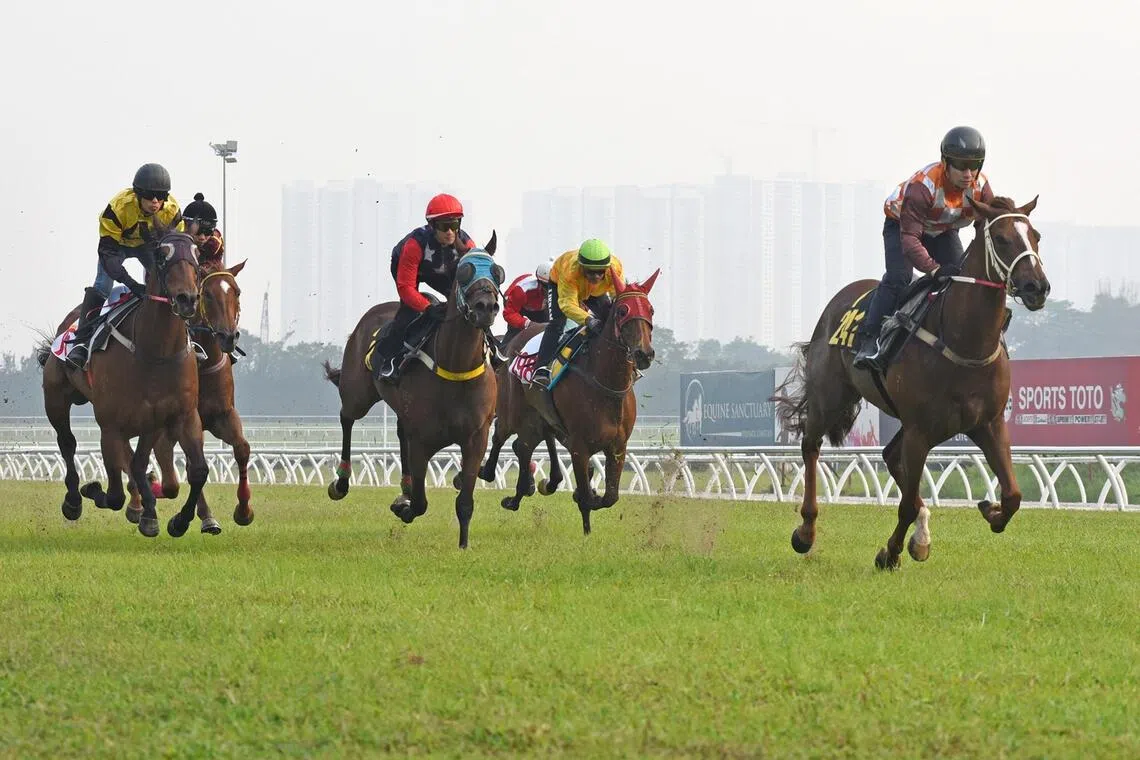 Superpower
PHOTO: SELANGOR TURF CLUB