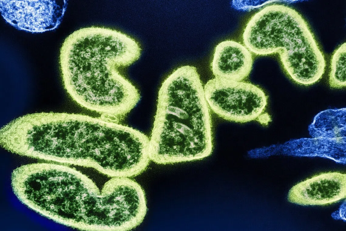 The WHO began tracking the development of antibacterial agents in 2017.